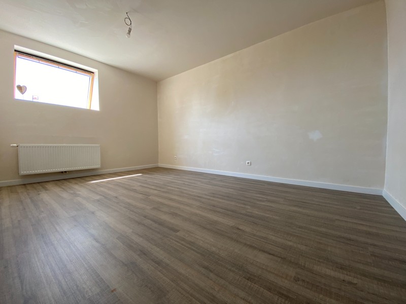 3565774